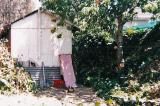 Backyard overgrown with run down bungalow